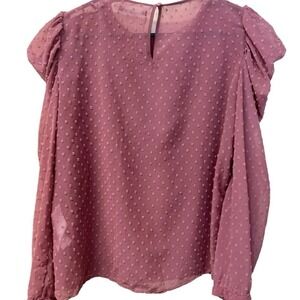 Zara Women's Dotted Puff Long Sleeve‎ Top Sheer Size Medium Mauve